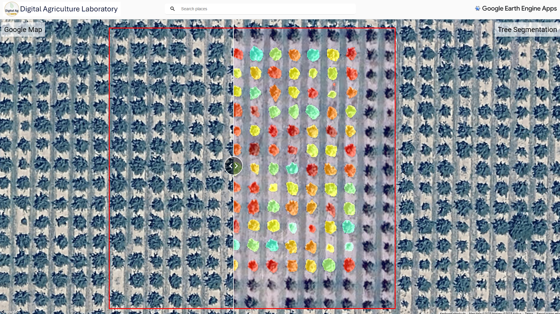 Mohammadreza Narimani GeoSAM2 tree segmentation deep learning results aerial imagery orchard management precision agriculture UC Davis Digital Agriculture Laboratory