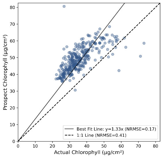 Mohammadreza Narimani PROSPECT-PRO chlorophyll versus laboratory grapevine leaf chlorophyll before bias correction