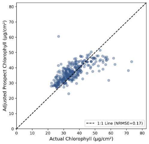 Mohammadreza Narimani adjusted PROSPECT-PRO chlorophyll versus laboratory grapevine leaf chlorophyll after bias correction