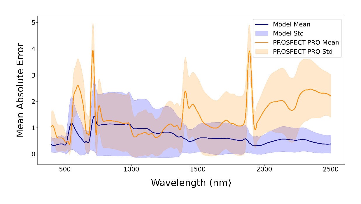 Mohammadreza Narimani mean absolute error by wavelength comparing the multi-head attention grapevine model with PROSPECT-PRO forward simulation