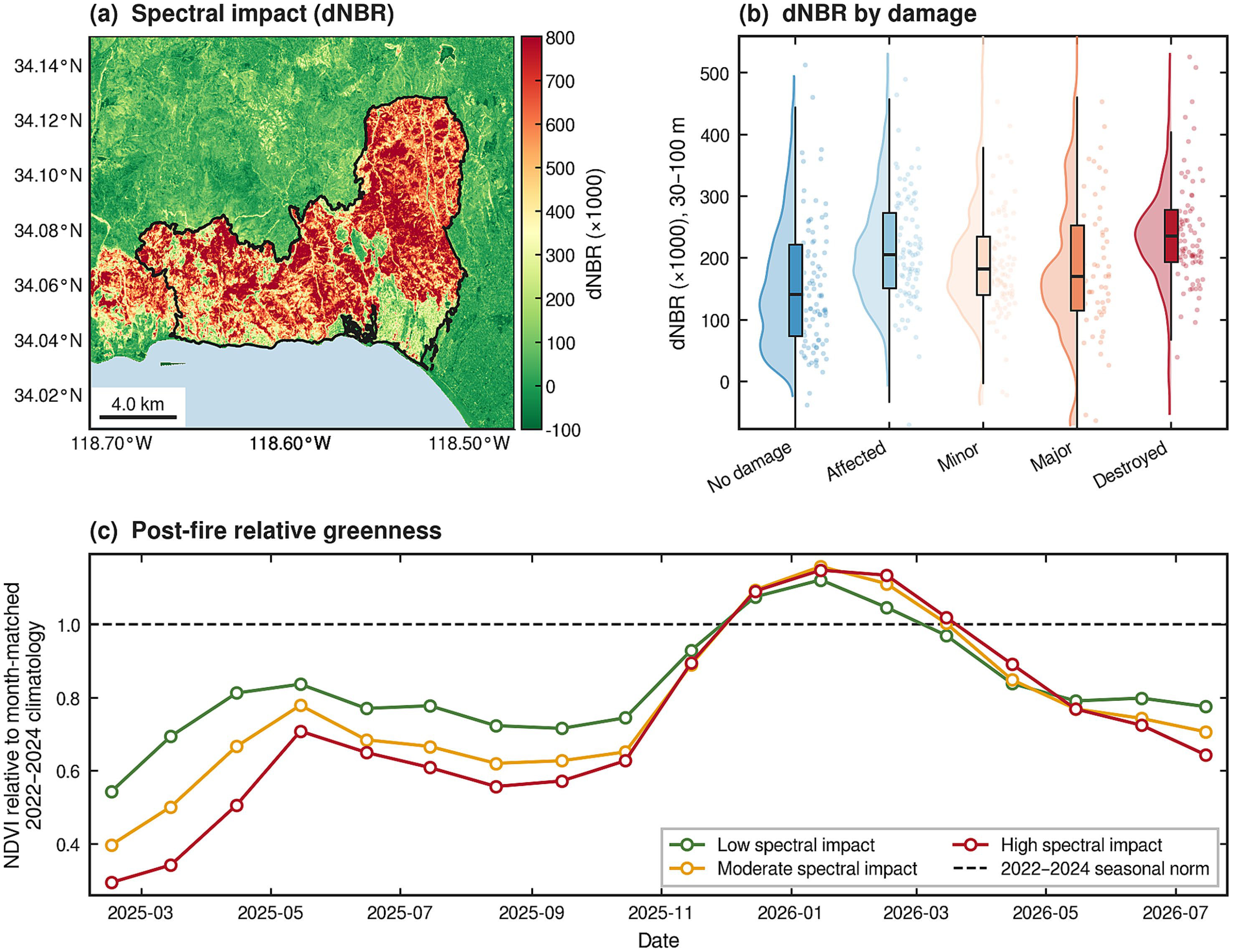 Mohammadreza Narimani Palisades post-fire dNBR spectral impact and class-level NDVI relative to 2022-2024 reference composites