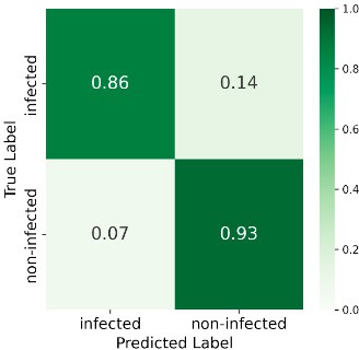 Confusion matrix 585 GDD