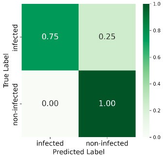 Confusion matrix 1216 GDD