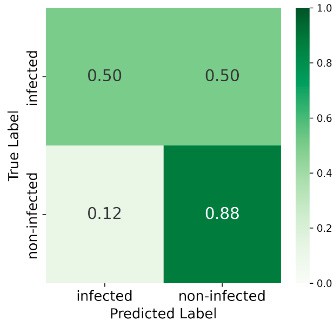 Confusion matrix 1568 GDD
