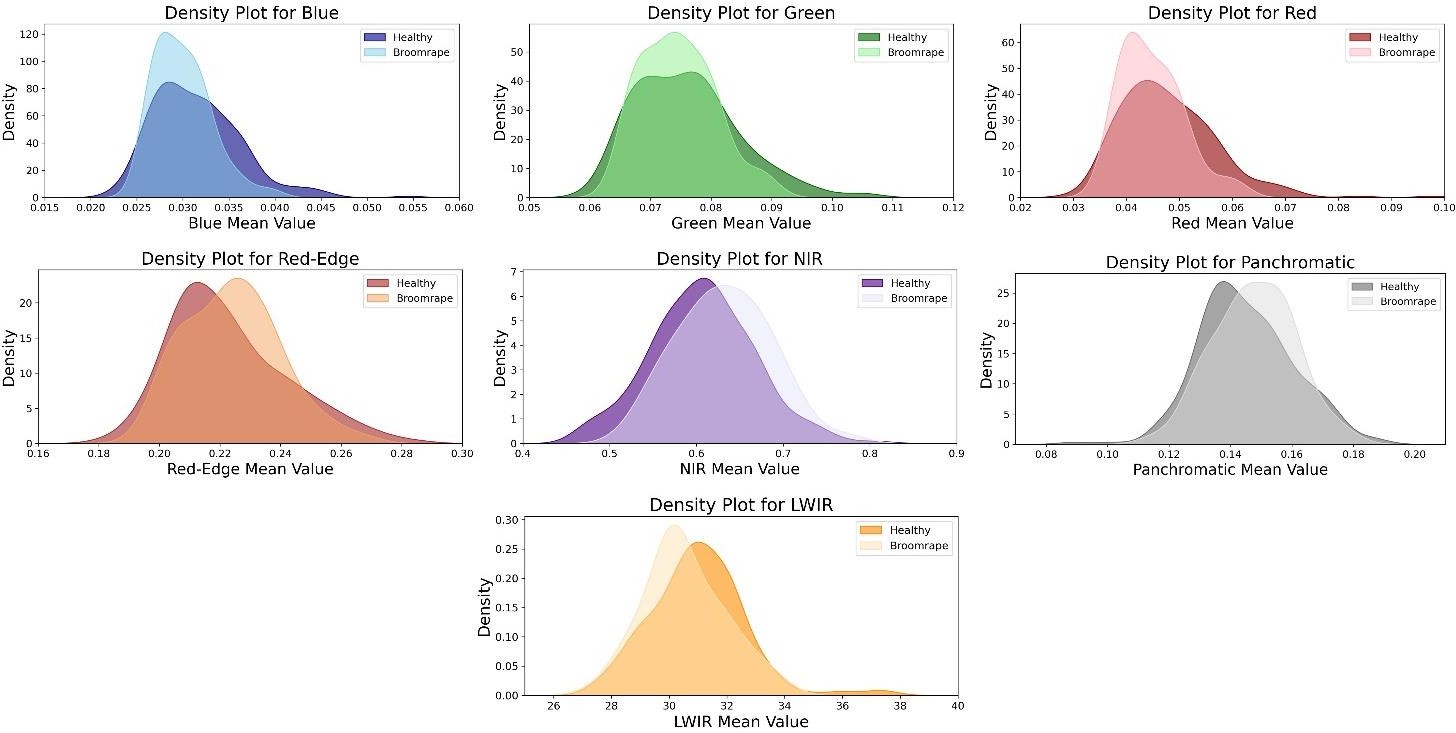 KDE plots of spectral bands at 897 GDD for healthy vs infected tomato plants