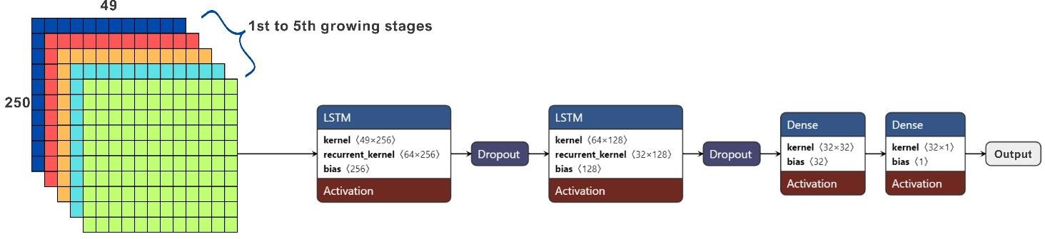 LSTM model architecture diagram