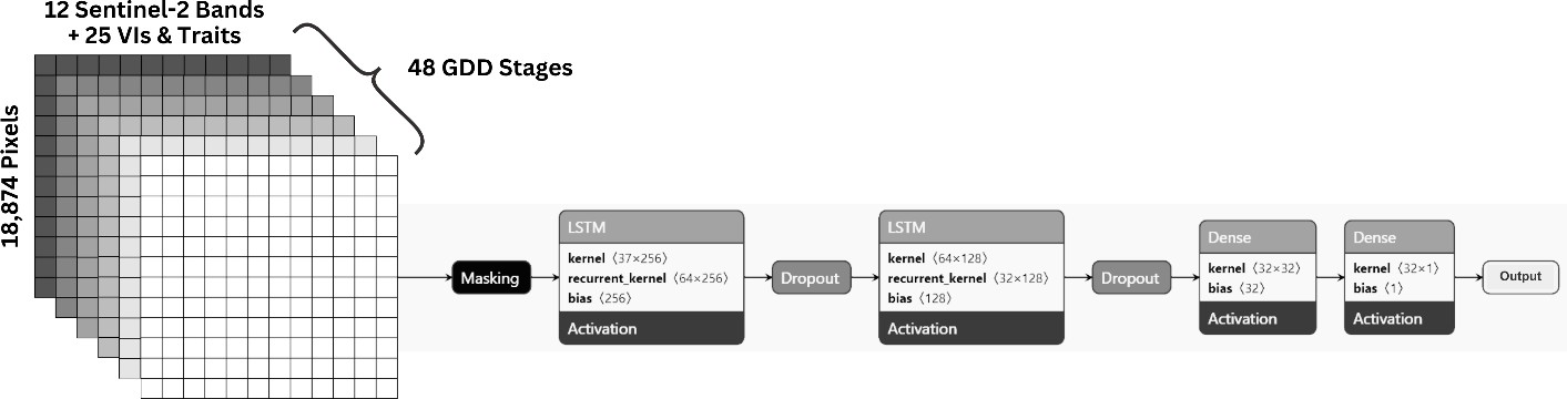 LSTM architecture and input feature stack over 48 GDD stages