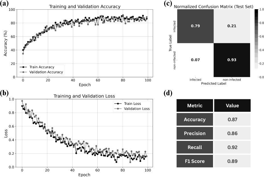 Training and validation accuracy and loss; confusion matrix; performance metrics
