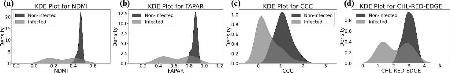 KDE plots NDMI, FAPAR, CCC, CHL-RED-EDGE infected vs non-infected at peak vegetation