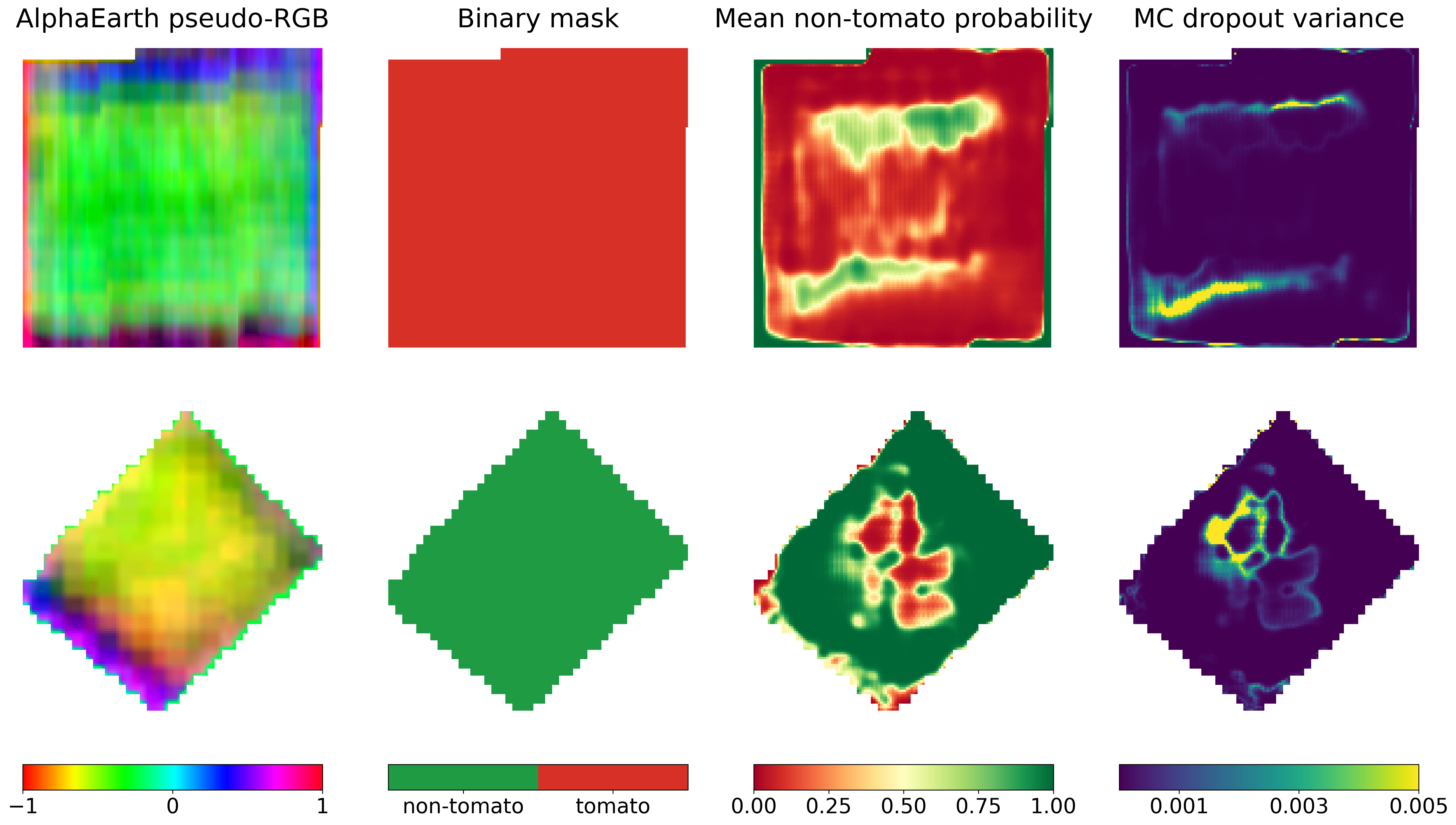 Representative tomato and non-tomato AlphaEarth chips with binary masks, mean predicted probabilities, and Monte Carlo dropout variance